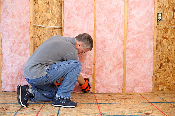 Best Insulation Materials and Products in Papillion, NE