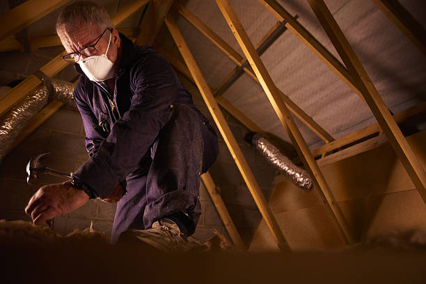 Best Insulation for Specific Applications in Papillion, NE